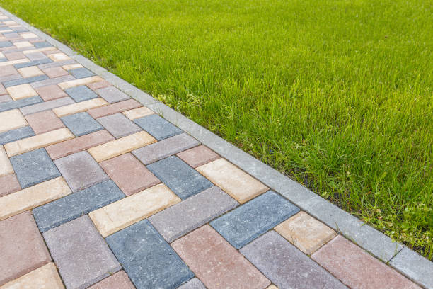 Best Local Driveway Pavers  in Falfurrias, TX